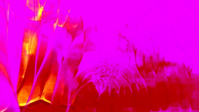 Abstract floral texture art loop video