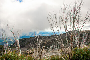 Mount Buffalo National Park, Victoria. Australia. Australian Alps views from The Horn picnic area. Mountains and clouds scenic view