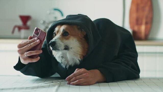 A Dog Dressed Like A Person With Hands Talking On The Phone