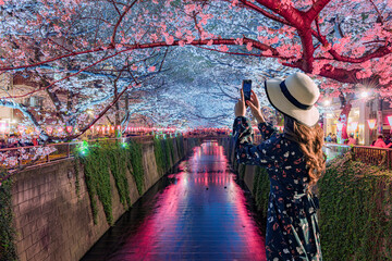 Young tourists admire the beauty of cherry blossoms in Tokyo at the Meguro River, Japan