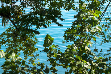 Vista do Mar Tropical litoral Sul