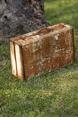 Outside summer photo of an antique suitcase placed in from of a tree in the grass. 