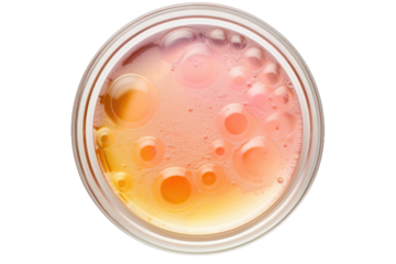 An isolated petri dish containing a cosmetic or medical liquid is seen in a top-down view on a white background. This image represents the concept of a scientific cosmetic laboratory.