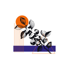 Berry Branch Hand Drawn Monochrome Sketch with Geometric Shape and Element Vector Composition