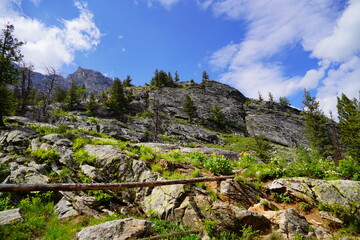 Hiking trail at Grand Teton National Park in early summer, Wyoming, USA