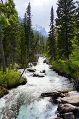 Clear creek brook river at Grand Teton National Park in early summer, Wyoming, USA