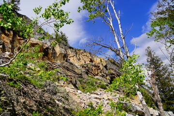 Hiking trail at Grand Teton National Park in early summer, Wyoming, USA