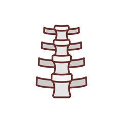 Spinal Cord icon in vector. Illustration