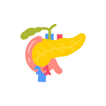Pancreas icon in vector. Illustration
