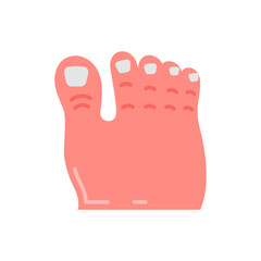 Toe icon in vector. Illustration