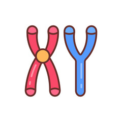 Masculine Chromosomes icon in vector. Illustration