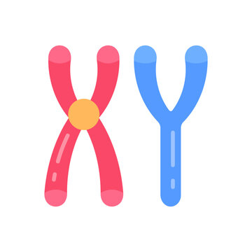 Masculine Chromosomes icon in vector. Illustration