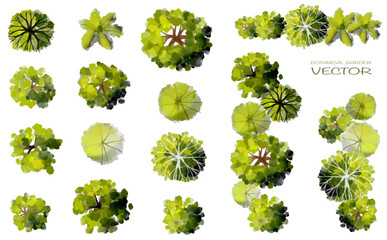 Vector set of Top view green tree for outdoor plan or map and architecture drawing, elements for environment and garden,botanical elements ,blooming flowers in spring