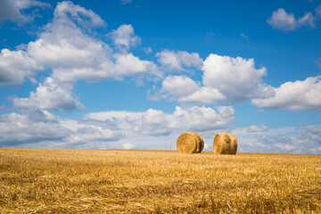 rolls of hay in the field against the background of a beautiful sky - 630773937