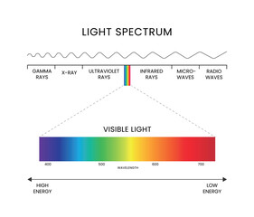 Light sepctrum through optical glass prism. Optics and physics. Vector image, stock illustration. All constituent colors, wavelength. WHite ligth ray beam