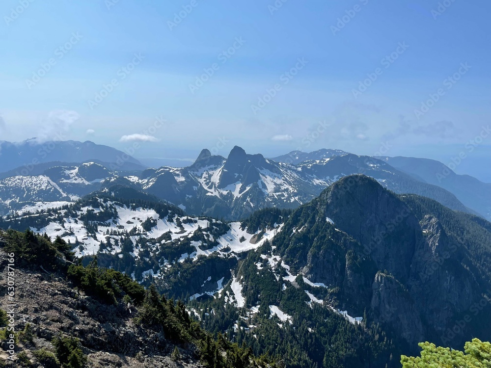 Poster Scenic view of a winter landscape featuring snow-capped mountains