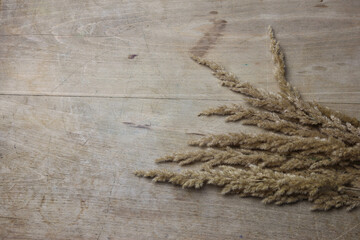 dry decorative grass on a wooden background