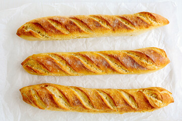fresh baguette on white paper bread top view