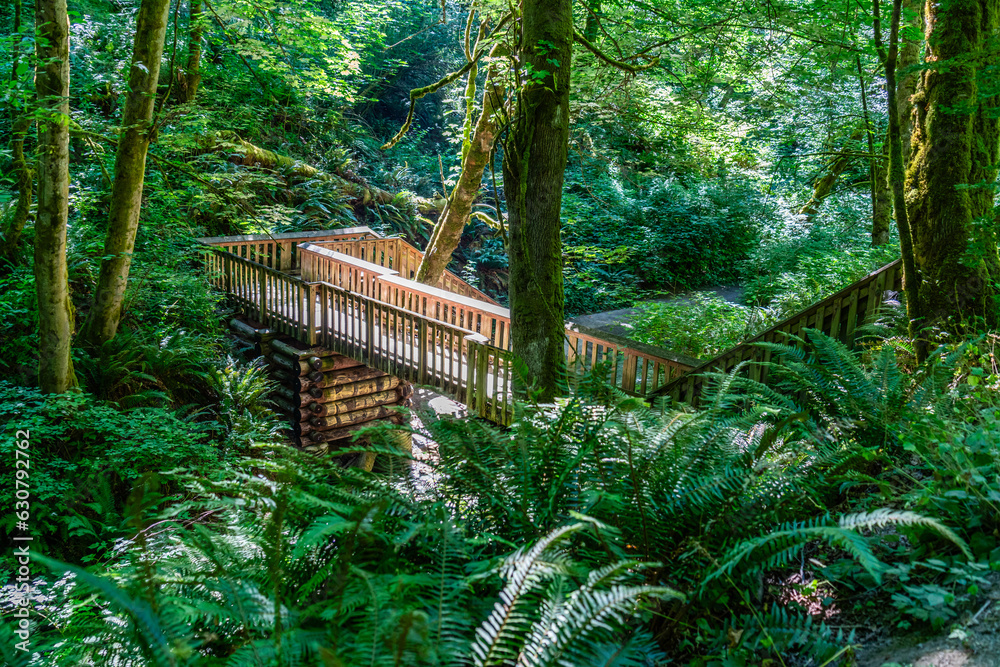 Sticker Wooden Trail Bridge