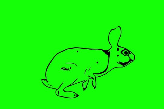 Greencreen video cartoon animal sketches walking and running