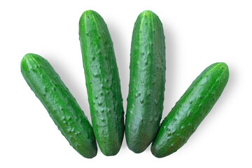 Four fresh cucumbers isolated on transparent background.