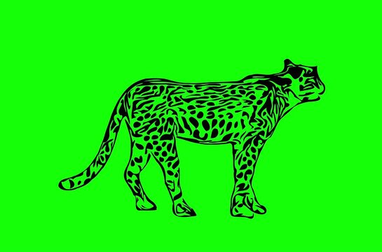 Greencreen video cartoon animal sketches walking and running
