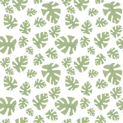 seamless green monstera leaf motif or pattern isolated on transparent background