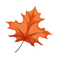 red autumn leaf cartoon. maple orange, season color, leaves tree red autumn leaf sign. isolated symbol vector illustration