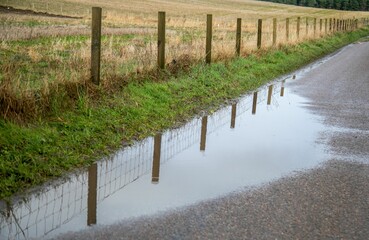 Fence posts reflecting in a puddle