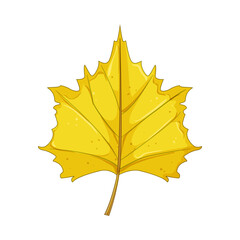 tree autumn leaf cartoon. nature yellow, border oak, october golden tree autumn leaf sign. isolated symbol vector illustration