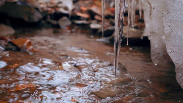 Icicle melting in the forest on a warm spring day on the blurry background