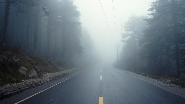 Aerial of an empty road in the middle of the dense forest on a foggy day