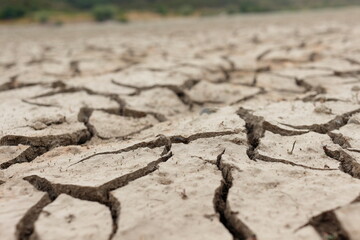 Drought cracked land