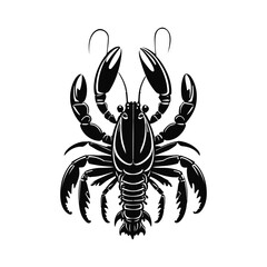 illustration of a crayfish on white background