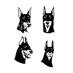 Vector illustration of cute doberman cartoon