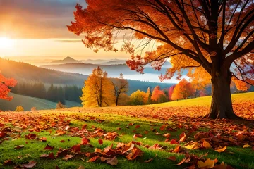 Schilderijen op glas autumn landscape with trees © Maaz