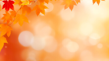 Defocused autumn background with bokeh and blurry red yellow and orange autumn leaves © simple words
