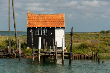 Maison de pêcheurs, La Tremblade, riviere La Seudre, Charente Maritime, 17, France