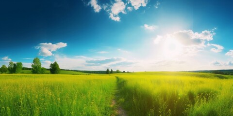 Fototapeta na wymiar Beautiful summer natural landscape. Green grass in meadow on background blue sky with clouds and sun on warm summer day. Bright colorful image of, Generative AI