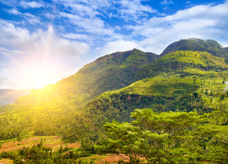 Picturesque mountain slopes with tropical plants and a bright sunrise. Sri Lanka.