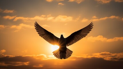 Fototapeta premium Bird soaring through the sky with the radiant sun as its backdrop