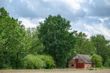 Sommerzeit im westlichen Münsterland