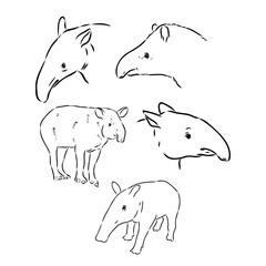 Tapir animal sketch engraving vector illustration. Scratch board style imitation. Hand drawn image.