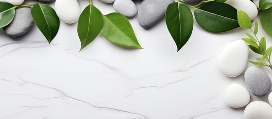 Marble background with white stones and green leaves, providing copy space. Represents body care, beauty treatment, spa, wellness, massage salon.