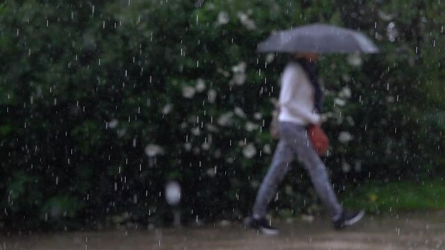 Une personne marche sous la pluie avec un parapluie, effet defocus, 480fps ralenti X8/59,94fps