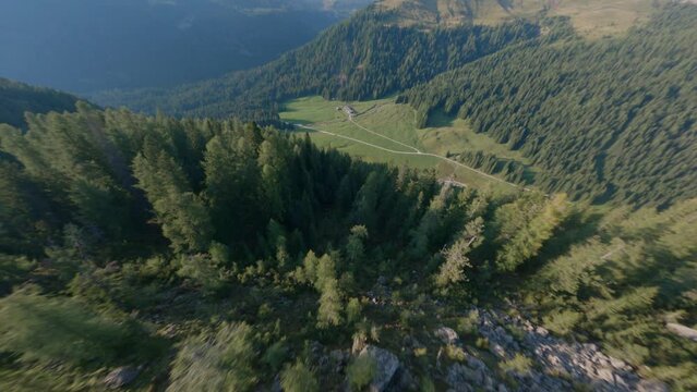 picchiata dalla montagna sulle cime degli alberi fino alla valle - Drone 4k flat
