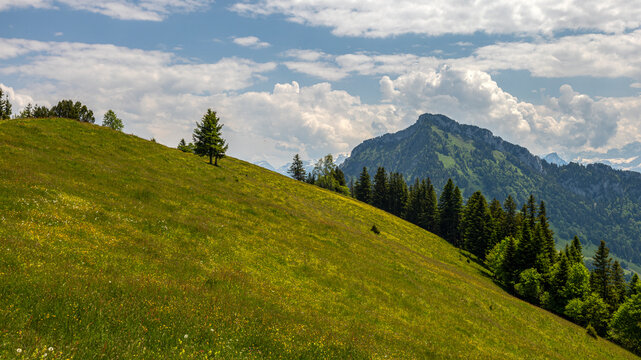 Rigi Scheidegg - ein Berggipfel des Rigi-Massivs am Vierwaldst&auml;ttersee in der Schweiz
