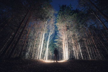 Male silhouette in the forest. A man explores a dark pine forest. Man with light in the forest. Darkness around a man with a flashlight. Silhouette of a man standing in a dark forest. - obrazy, fototapety, plakaty