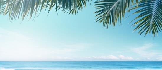 A view of a hazy blue sky and sea with out-of-focus light and coconut palm tree leaves. A tropical summer landscape that represents summer vacation.