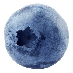 Blueberry isolated on white background, full depth of field © grey
